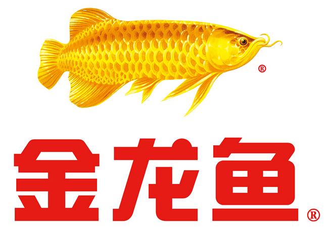 “油茅”股价曾2月翻4倍,人均亏180余万,今半年市值蒸发逾4千亿