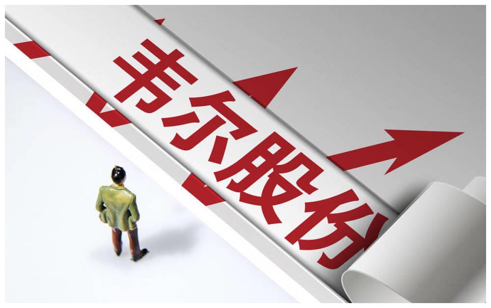 缩减代工晶圆订单、入局元宇宙？千亿芯片巨头韦尔股份辟谣