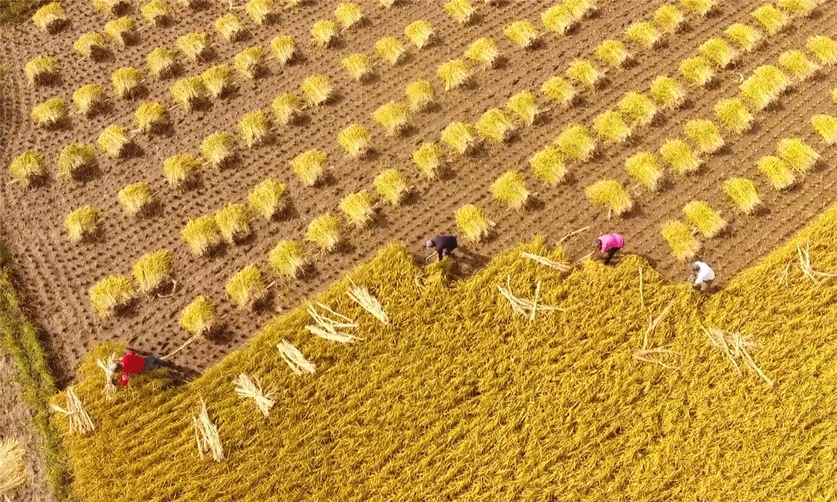 大禾環保瞄準環保產業的萬億生意，打造農業節碳生態綜合解決方案