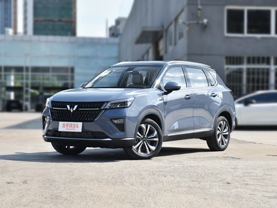 上汽通用五菱再战SUV市场，能否为燃油车扳回一城