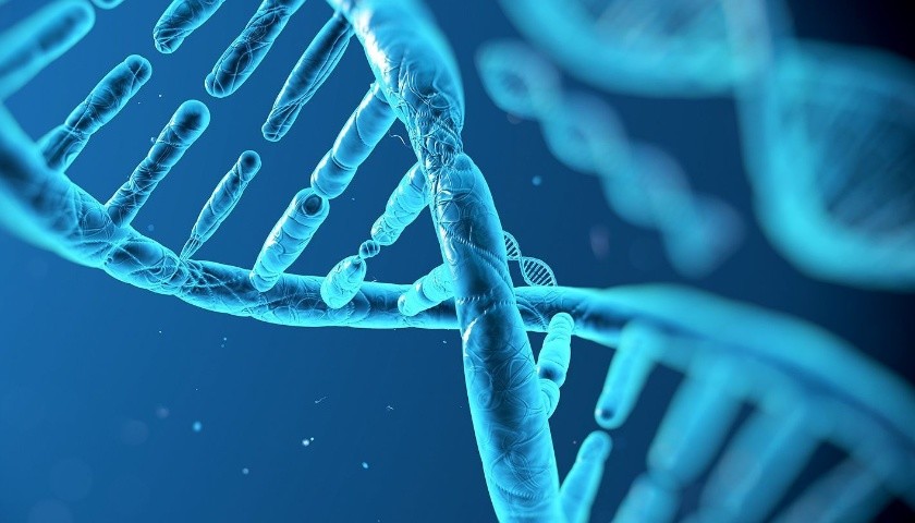 生物制藥企業(yè)“鼎持生物”完成近2億元A輪及A+輪融資