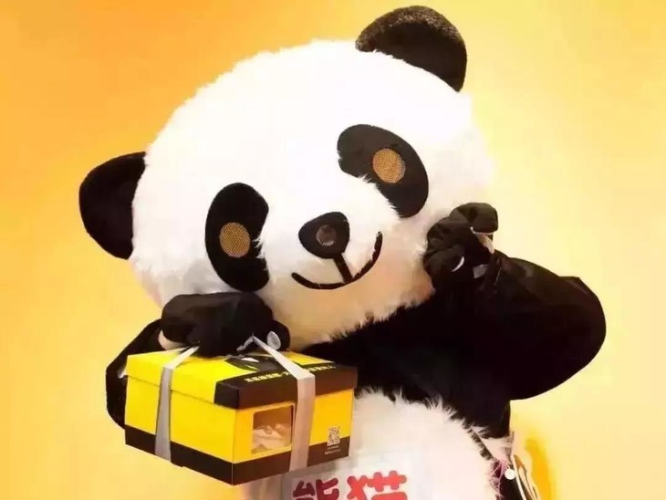 XVC投資，熊貓不走蛋糕完成過億元B輪融資