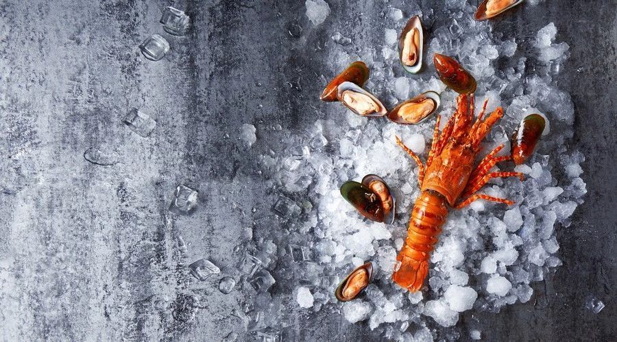 ”凍品到家“完成近億元B輪和B+輪融資