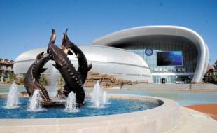 海昌海洋公园亏损17.29亿元后，65.3亿元“卖子”韩国财团