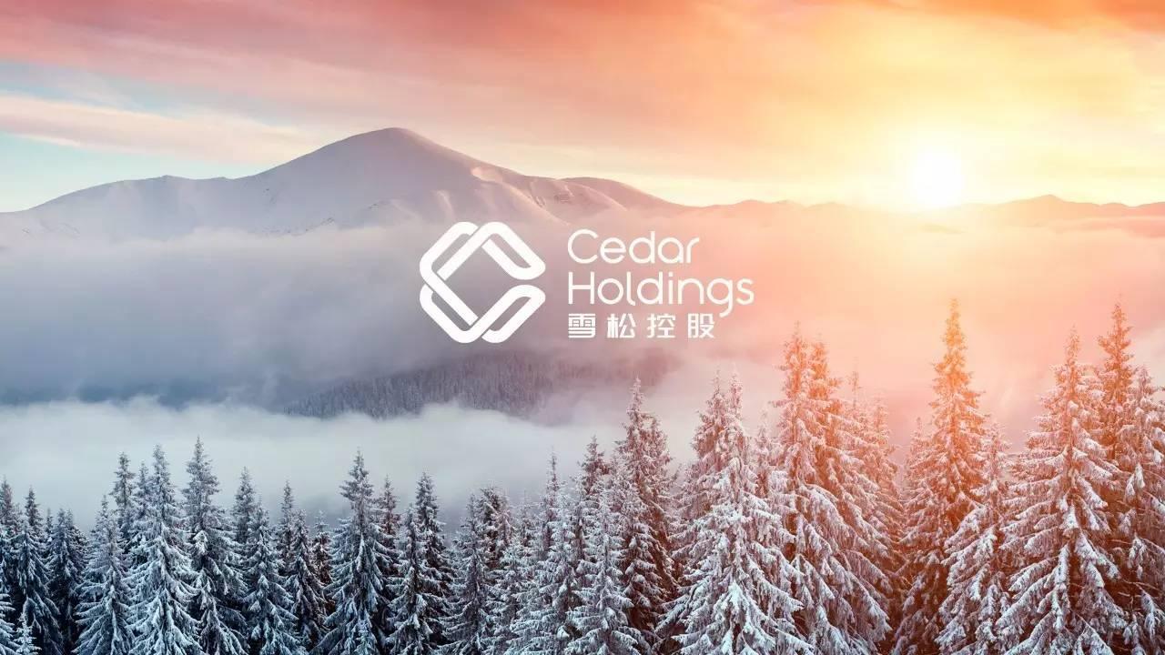 雪松发展突遭证监会立案调查，市值一日“蒸发”近3亿元，身陷流动性危机的“雪松系”如何自救？