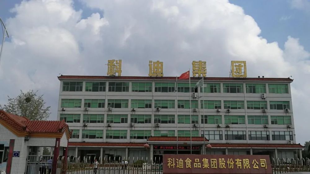 科迪集团启动投资人招募，有望完成破产重整工作