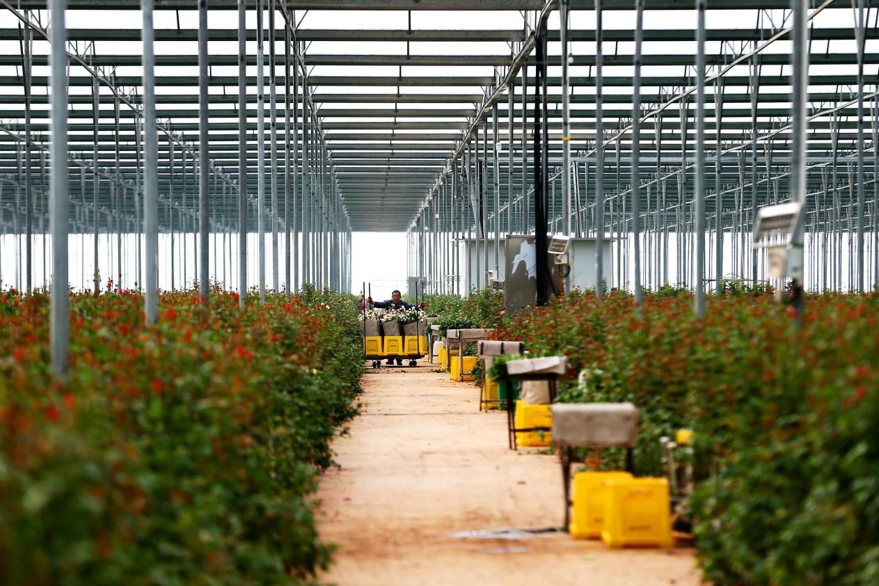 大数据管生产,BOSS直聘招车企总工,这位老板在科技树上种鲜花