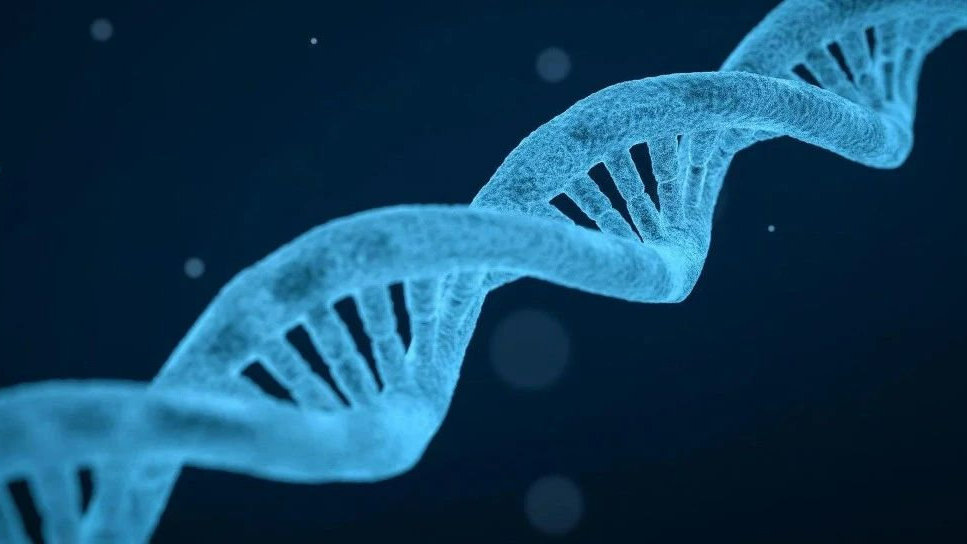 加速细胞培养关键原料技术国产化进程，依科赛生物完成逾亿元B轮融资