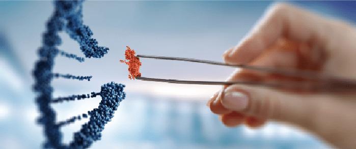 加速布局碱基编辑疗法新赛道，正序生物完成近3亿元融资