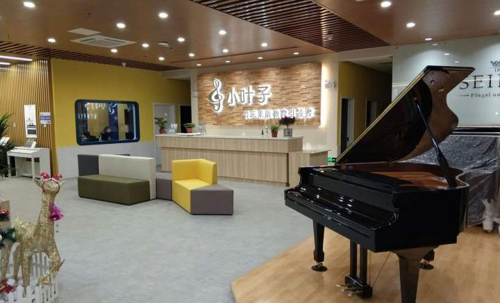 真成投资领投，小叶子音乐教育完成超2亿元C+轮融资