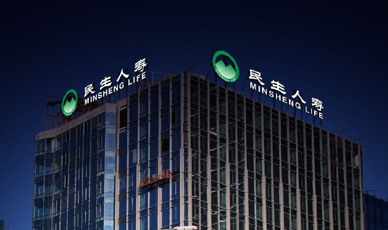 民生人寿12年等来总经理，万向系控股