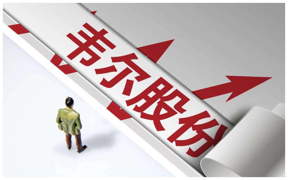 “蔡总”日亏10亿，2400亿芯片龙头大跌9%