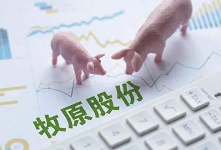 千亿“猪茅”：盘中大跌逾6%，旗下多家公司曾被曝商票逾期