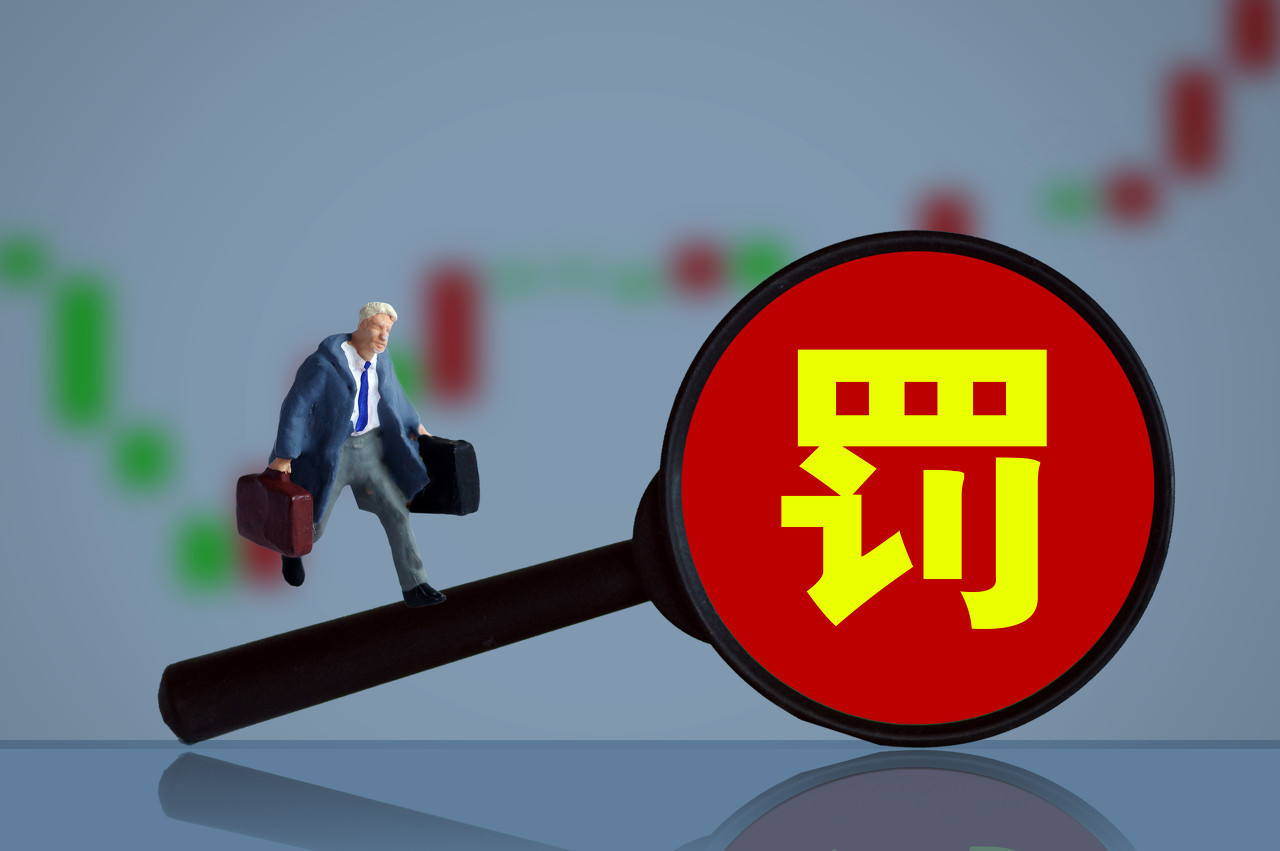 人壽財險、大地財險被罰，因編制虛假資料等