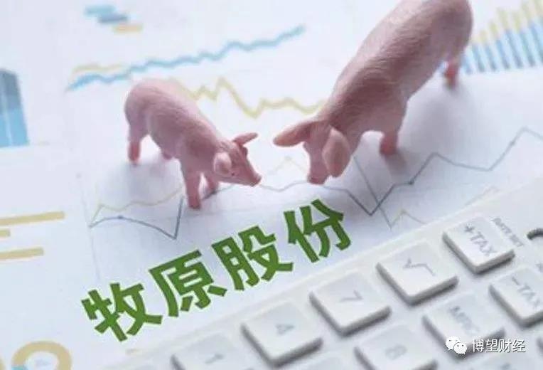 旗下公司被曝商票逾期“吓坏”股民牧原股份：纯属意外