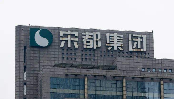 宋都股份实控人被罚没1.47亿元，其关联企业超百家