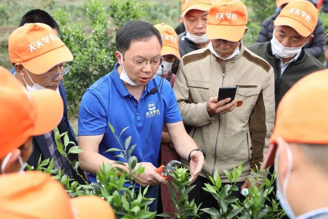 天天学农获松禾资本领投C轮融资