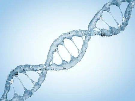 阳光人寿领投，轩竹生物完成超6亿元B轮融资