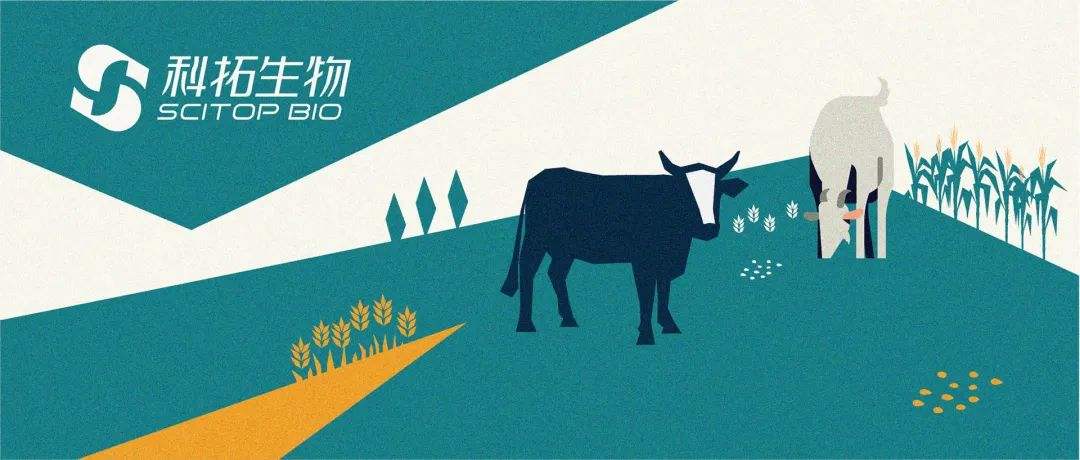 幽門螺桿菌確認(rèn)致癌，其概念股兩日漲超30%