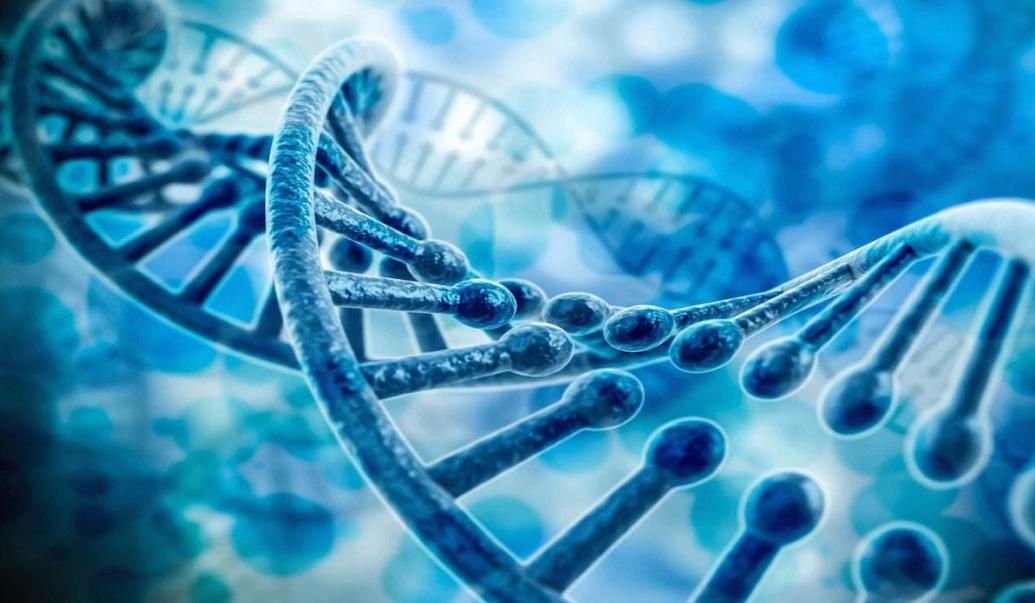 元生创投领投，合成生物学企业百葵锐生物完成近5000万元Pre-A轮融资