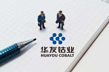 千億鈷業龍頭止跌反彈，業績預增超200%！盤中封住漲停板