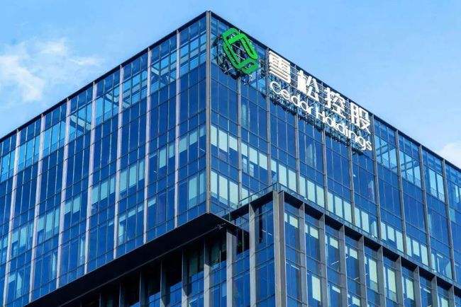 “广州第一民企”雪松控股被指200亿理财产品逾期其已成失信人