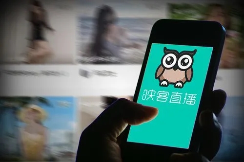 映客盈利预喜,净利大增超9成,得益于社交产品矩阵快速扩展