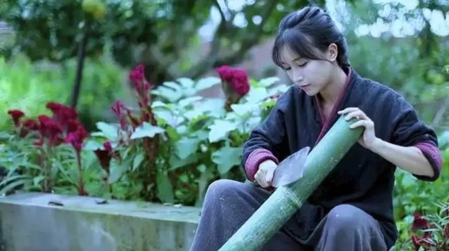 为李子柒发声大v被索赔50万，杭州微念已起诉李子柒持股公司