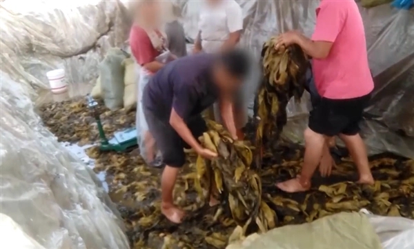 酸菜風(fēng)波背后，市場規(guī)模近百億，有企業(yè)獲億級融資