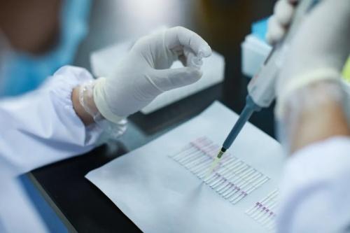 细胞治疗药物CDMO服务商“谱新生物”获普华资本领投近亿元Pre-A轮融资