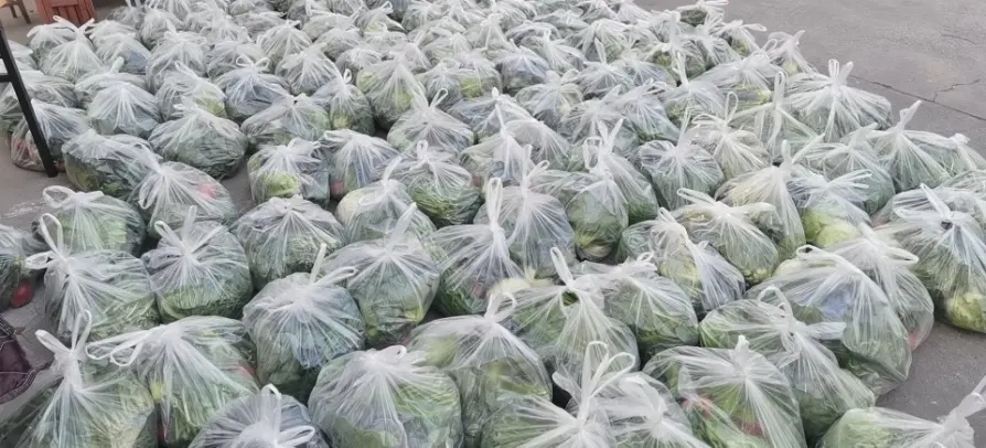 上海野生“团长”：身兼数职，一人分猪，半月贴四千