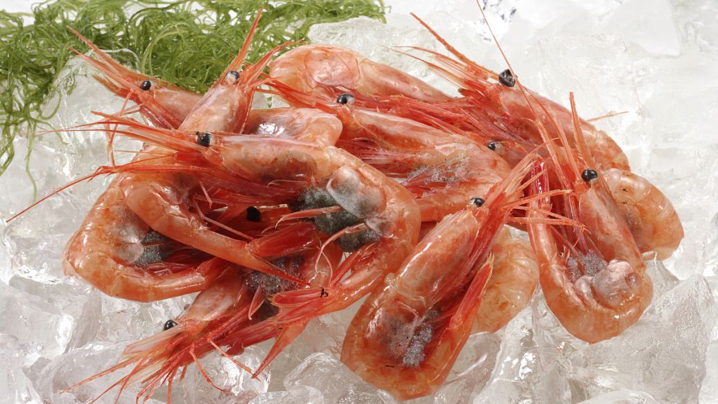 卖虾滑的郭氏父子想IPO，我只能说，投行尽力了