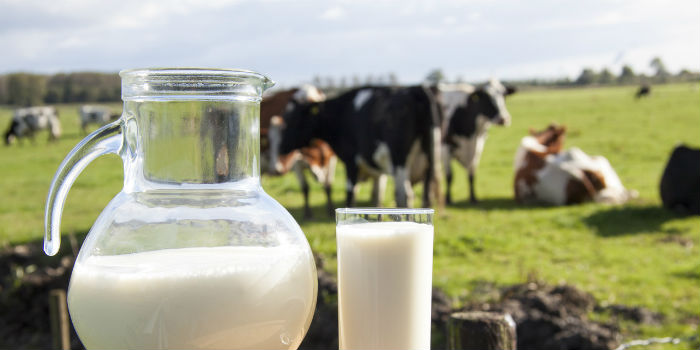 新乳业去年营收利润双增，今年一季度扣非净利增长67%实现开门红