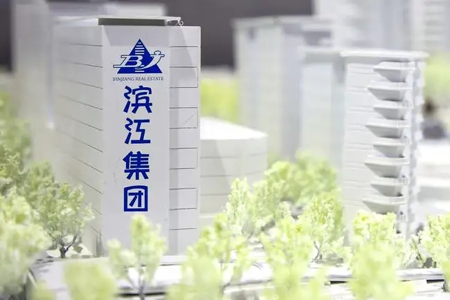 “杭州一哥”滨江集团不“出圈”？斥资184亿拿地
