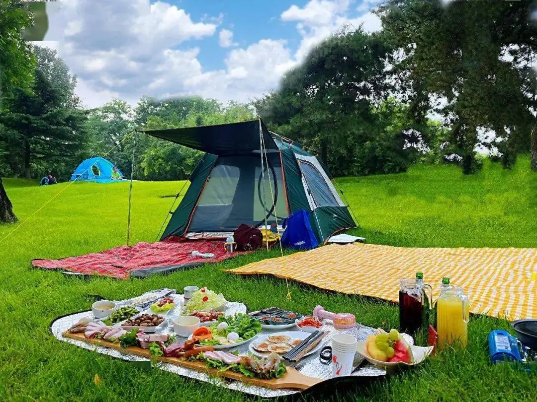 爆火的精致露营，是真趋势，还是伪精致？