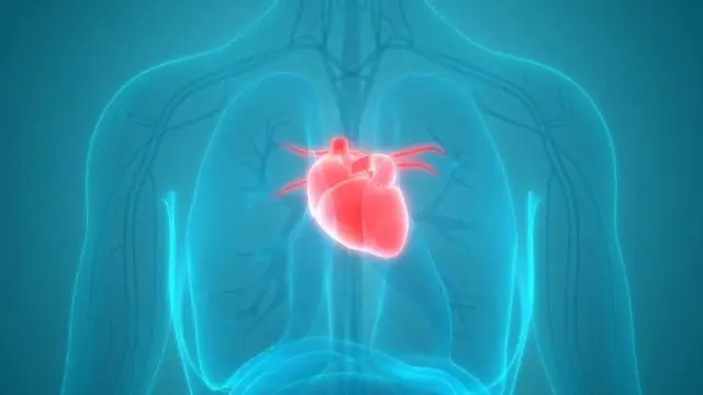 前海母基金领投，艾科脉完成近亿元A轮融资