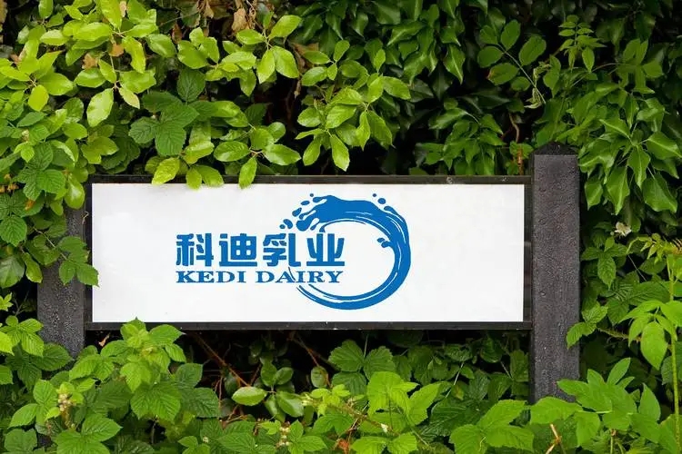 科迪乳业终止上市！曾因财务造假，创始人被处10年证券市场禁入