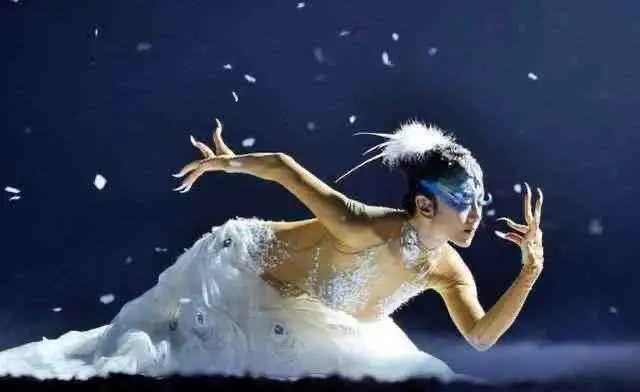 杨丽萍回应在线选年轻舞者，其在外任职公司超十家