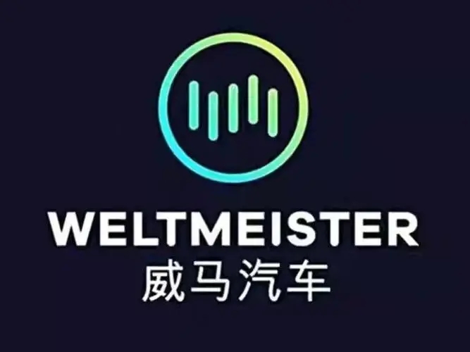威马“急”上市，三年亏损超130亿