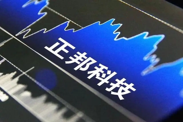 负债率超97%！正邦科技商票逾期超5亿，曾投上百亿豪赌“猪周期”