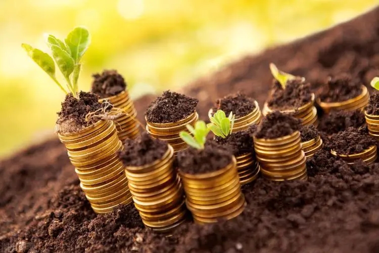 “当代镖局”要上市，三年赚了60亿