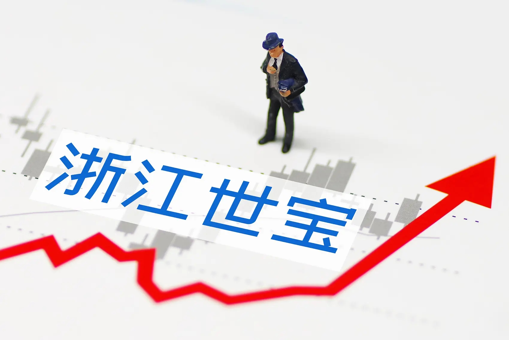 浙江世宝控股股东减持1.2亿元，折价18%