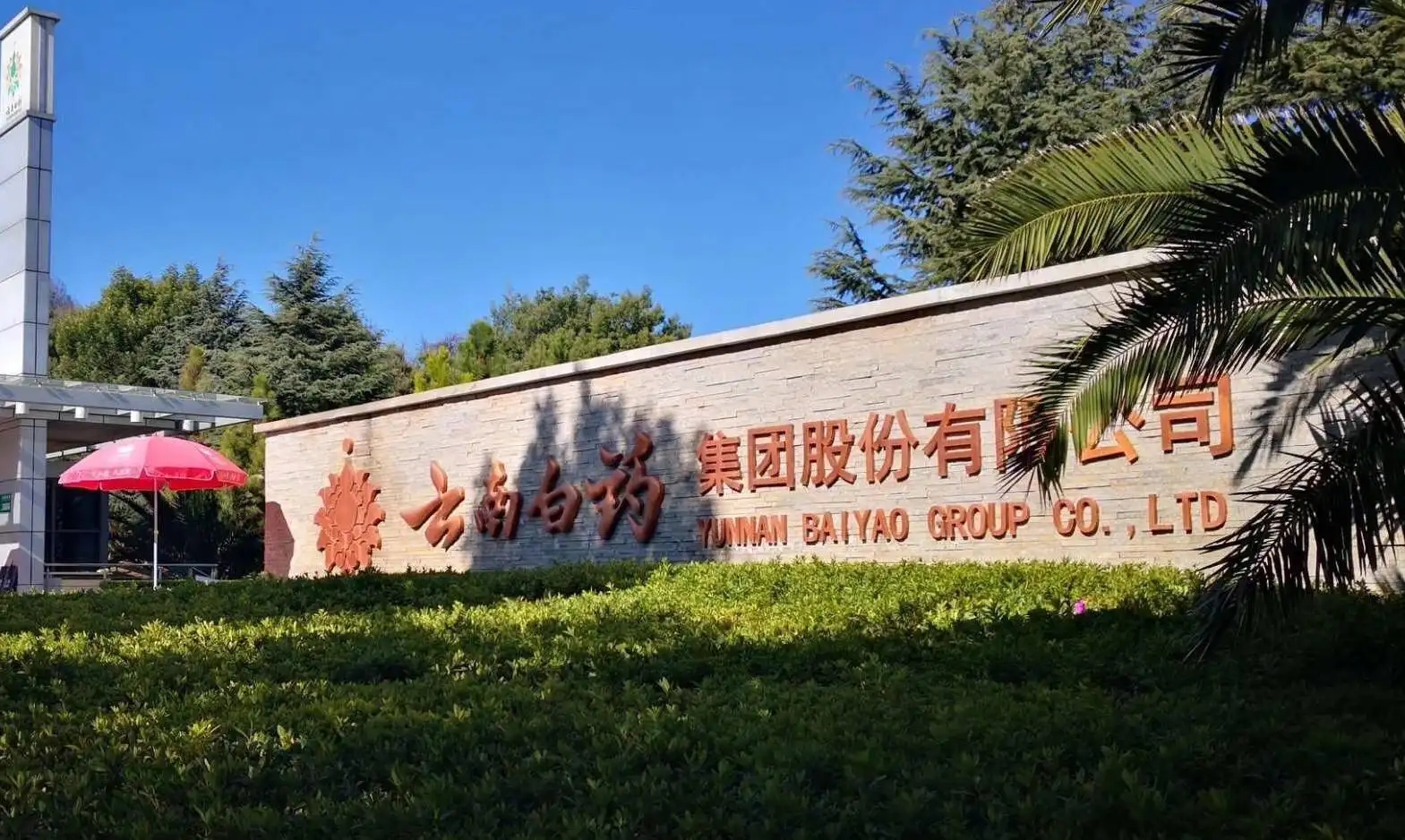 拾光者,云南白药!