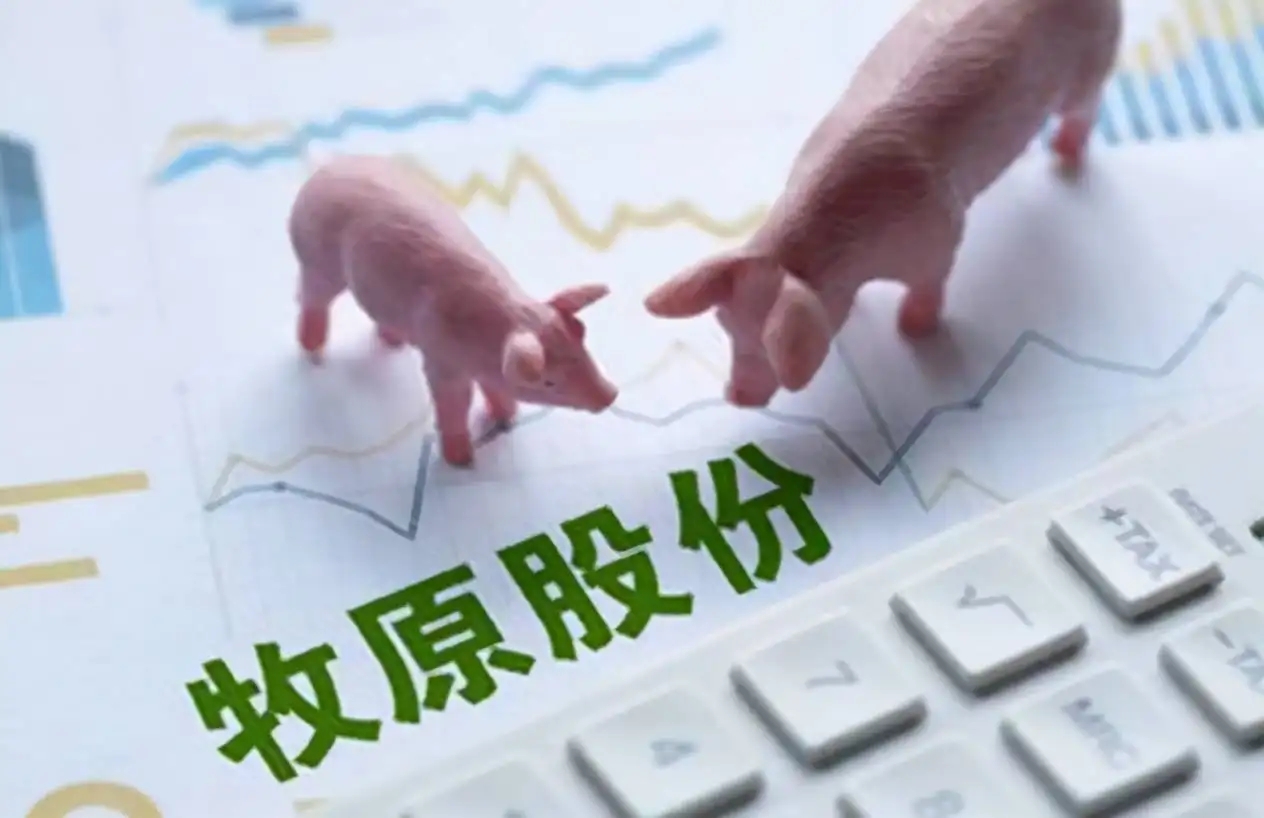 猪肉板块继续走强,牧原股份等多股齐涨停