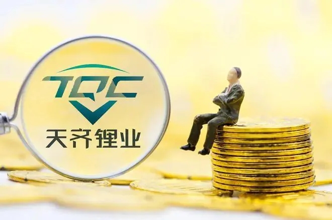 乘新能车“东风”,千亿锂业巨头上半年净利大增110倍