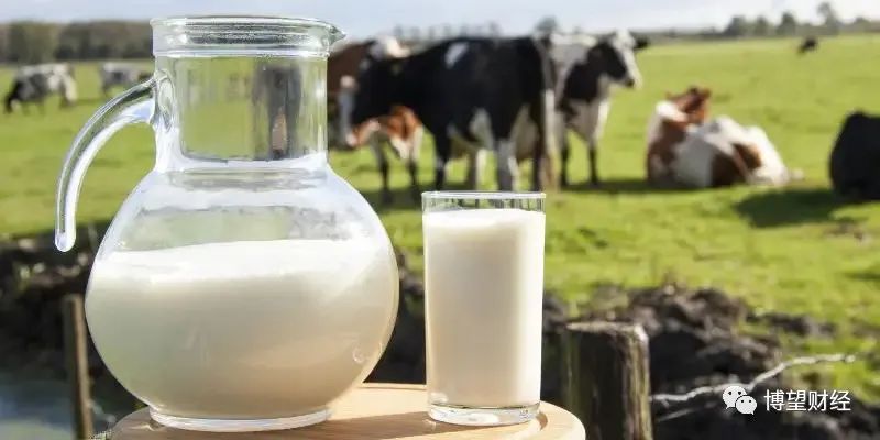 中小型乳企密集冲刺IPO，奶制品市场进入“战国”时代？