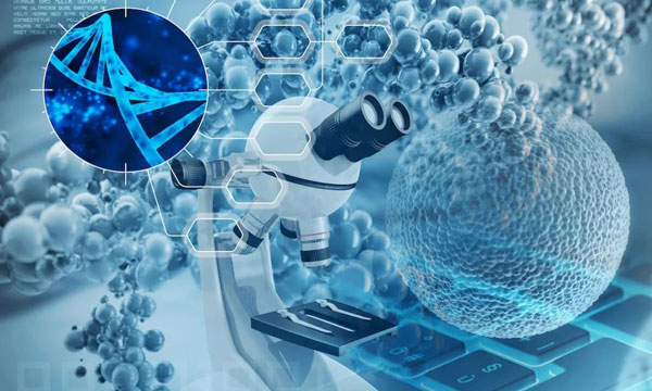 科途医学获数千万元新一轮投资，加速类器官技术商业化落地