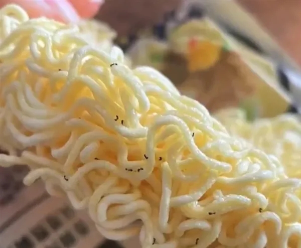 白象回应面饼满是蚂蚁:绝非品质问题,所有生产均按标准严格执行