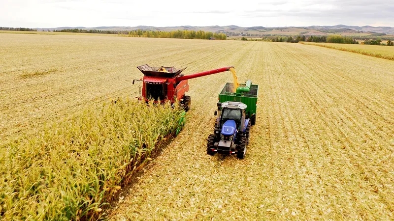 辛巴、董宇辉互怼，网红带货助农还是伤农？