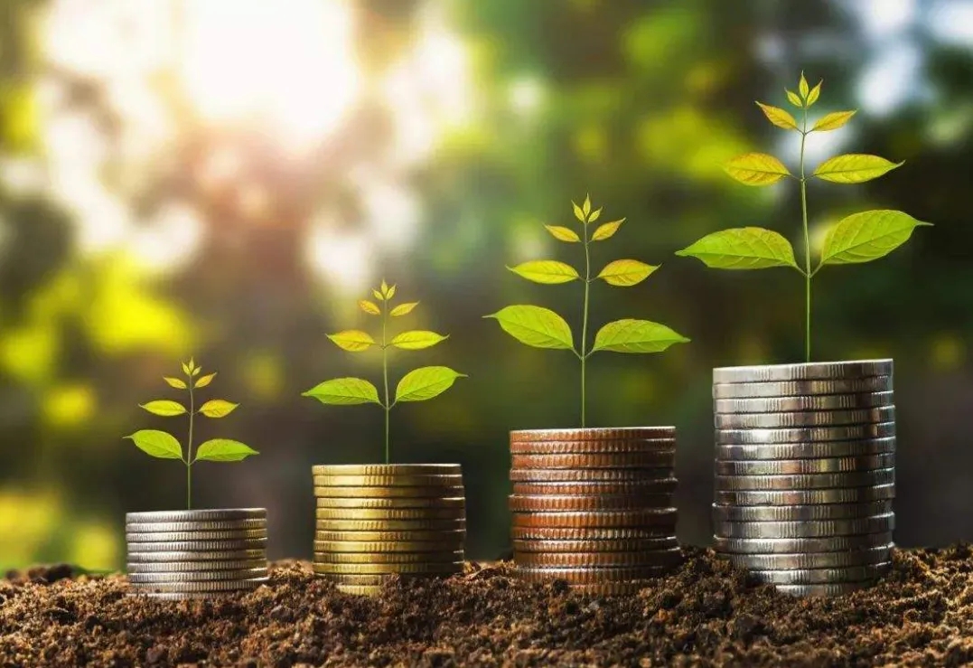 九方财富年入15亿，学费人均27万，遭万名用户退费